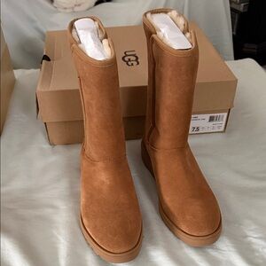 UGG Women's Chestnut Winter Boots